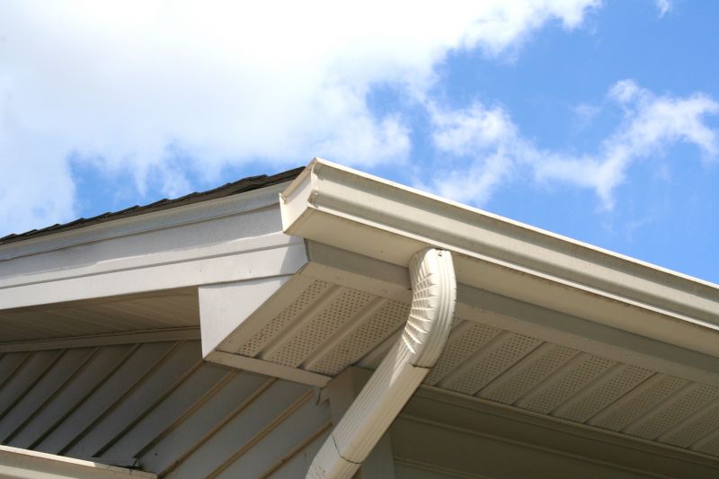 Gutter and Downspout Repair