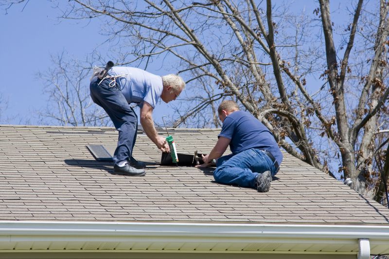 Inspecting Damaged Shingles